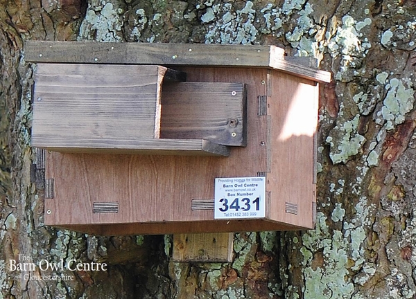 Little Owl Nest Box (Made from 18mm Plywood)
